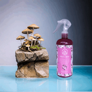 Gül Oda Parfümü 400ml